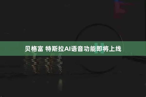 贝格富 特斯拉AI语音功能即将上线