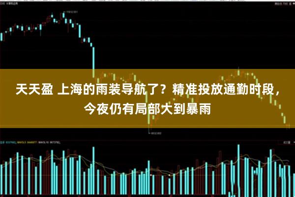 天天盈 上海的雨装导航了？精准投放通勤时段，今夜仍有局部大到暴雨