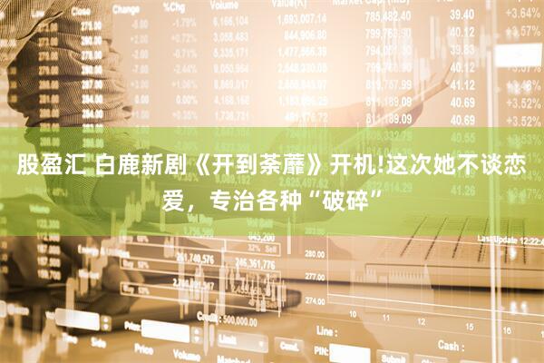 股盈汇 白鹿新剧《开到荼蘼》开机!这次她不谈恋爱，专治各种“破碎”