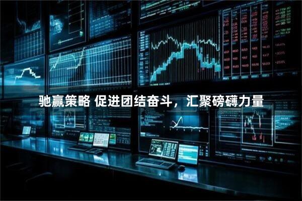 驰赢策略 促进团结奋斗，汇聚磅礴力量